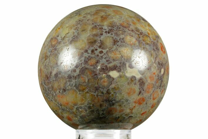 Polished Dinosaur Coprolite Sphere - Utah #370913